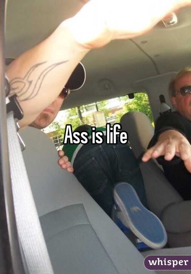 Ass is life 