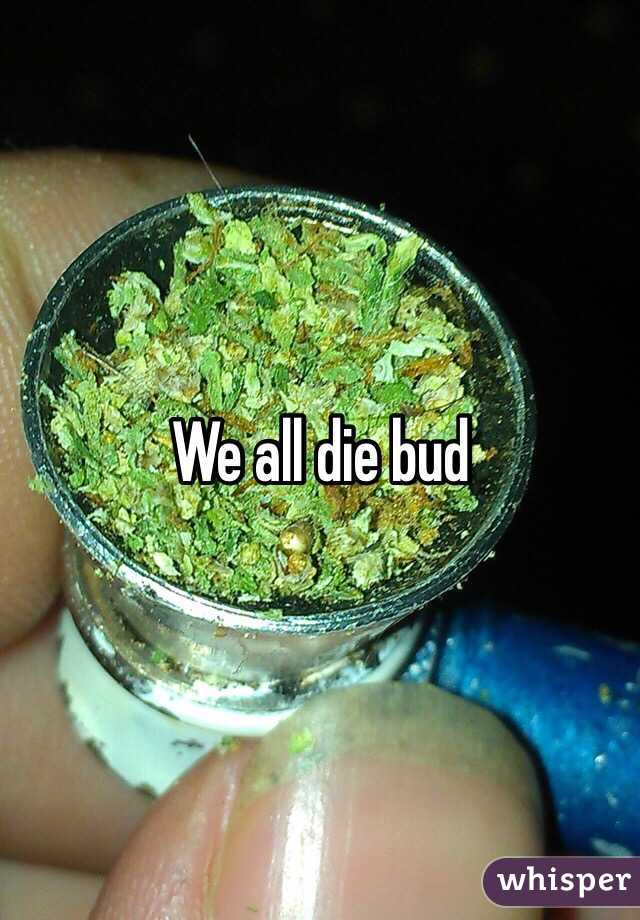 We all die bud