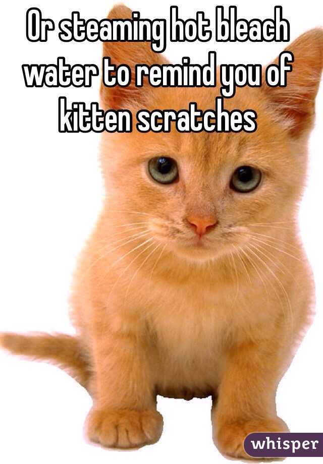 Or steaming hot bleach water to remind you of kitten scratches 