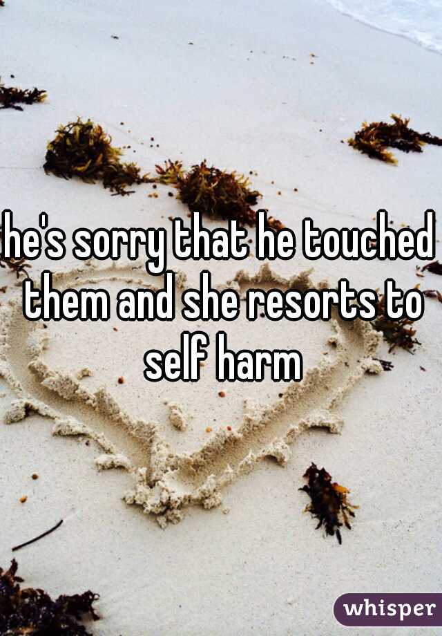 he's sorry that he touched them and she resorts to self harm