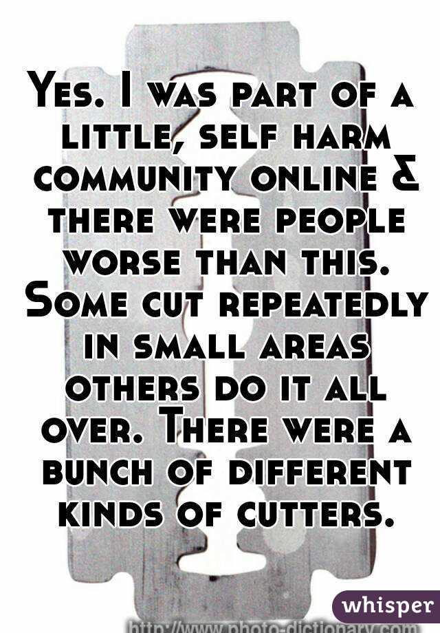 Yes. I was part of a little, self harm community online & there were people worse than this. Some cut repeatedly in small areas others do it all over. There were a bunch of different kinds of cutters.