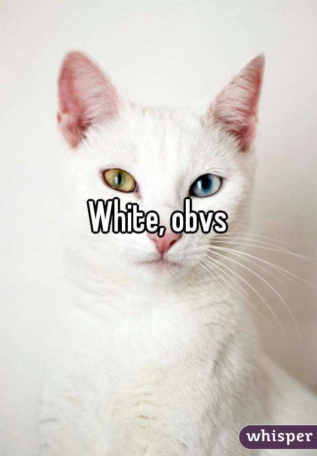 White, obvs