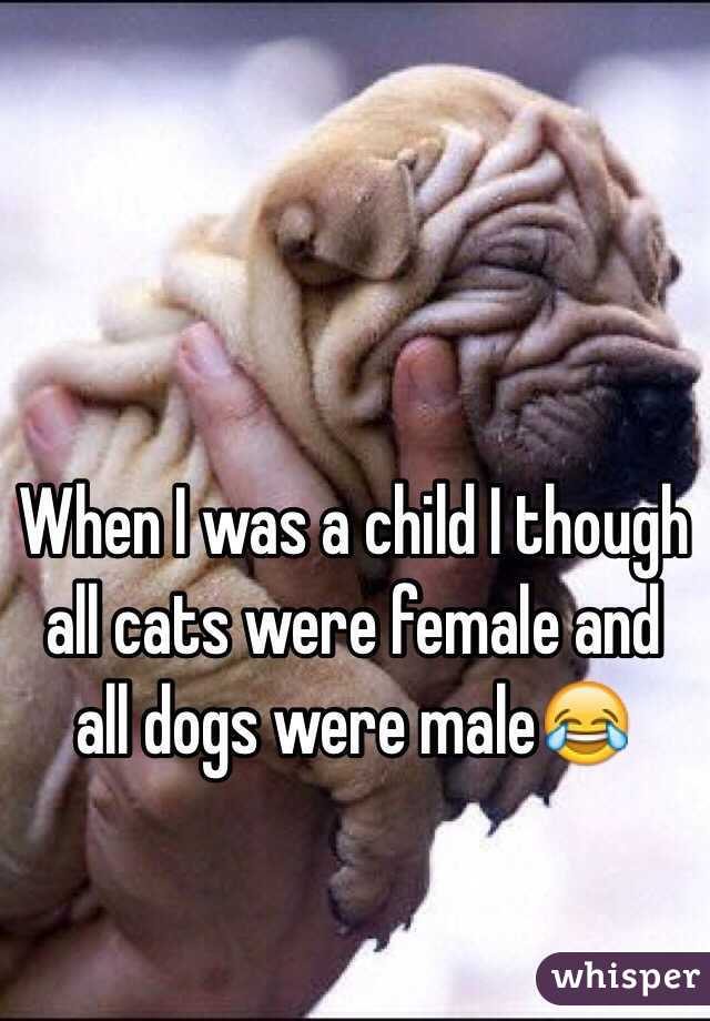 When I was a child I though all cats were female and all dogs were male😂