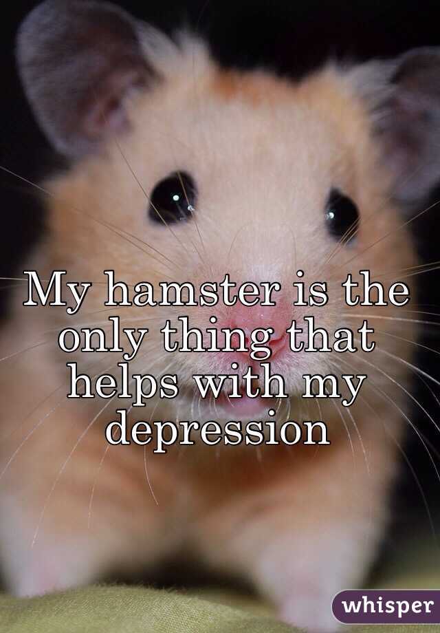 My hamster is the only thing that helps with my depression 