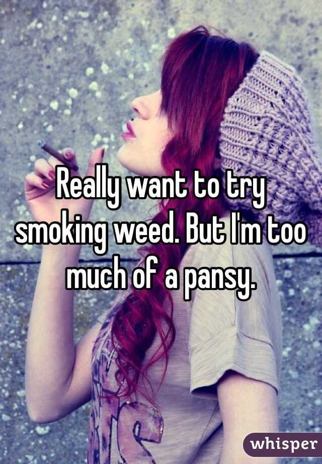 Really want to try smoking weed. But I'm too much of a pansy. 