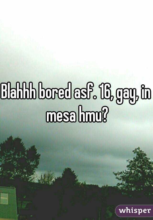 Blahhh bored asf. 16, gay, in mesa hmu?