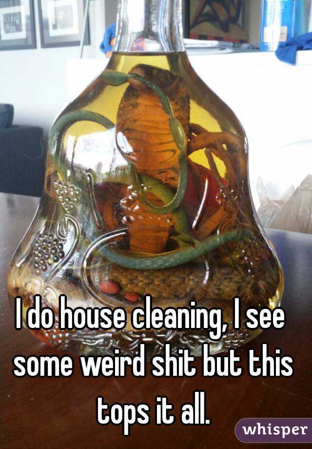 I do house cleaning, I see some weird shit but this tops it all.