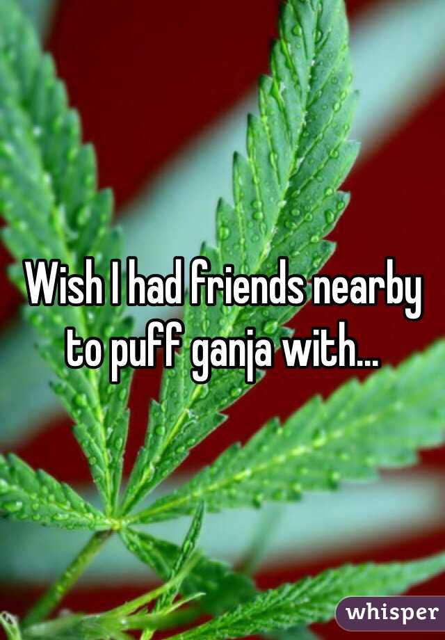 Wish I had friends nearby to puff ganja with...