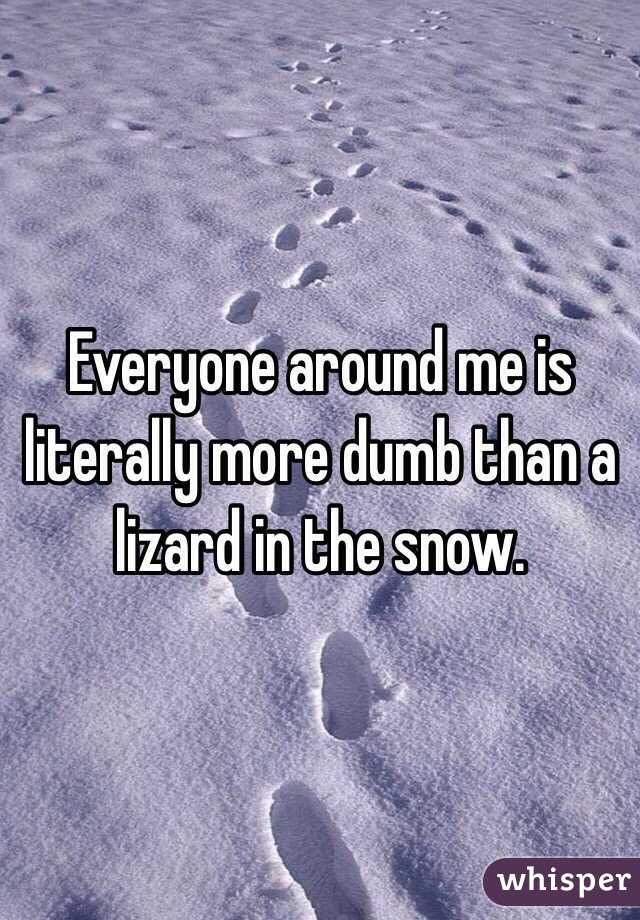 Everyone around me is literally more dumb than a lizard in the snow.