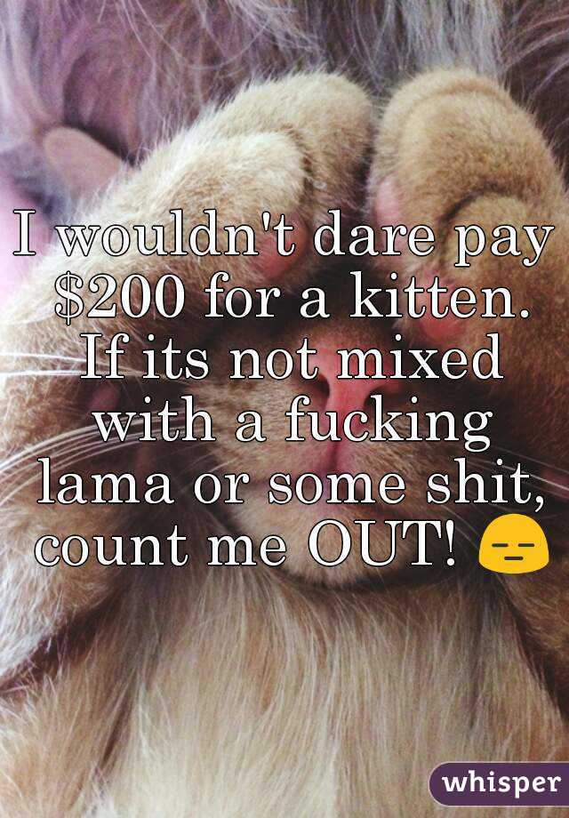 I wouldn't dare pay $200 for a kitten. If its not mixed with a fucking lama or some shit, count me OUT! 😑