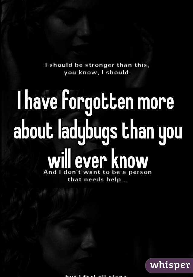 I have forgotten more about ladybugs than you will ever know