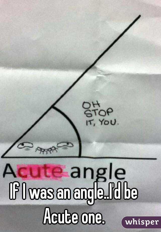 If I was an angle..I'd be Acute one. 

