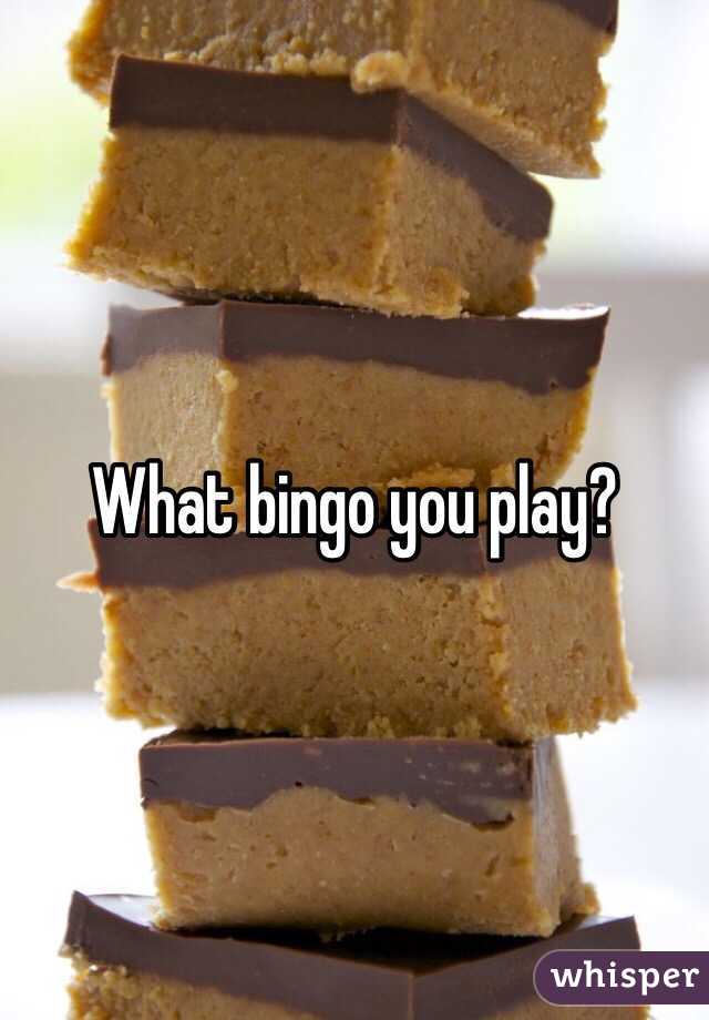 What bingo you play?