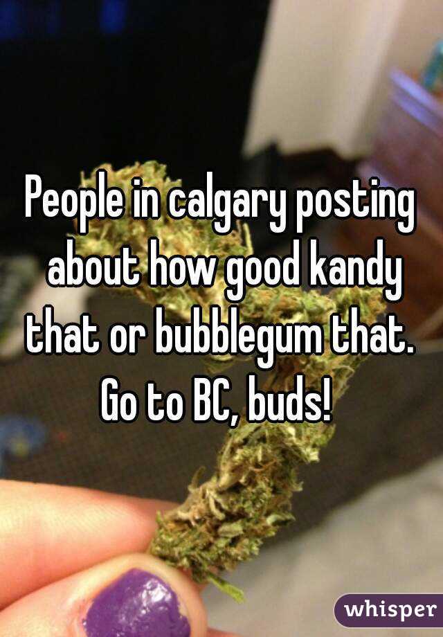 People in calgary posting about how good kandy that or bubblegum that. 
Go to BC, buds! 