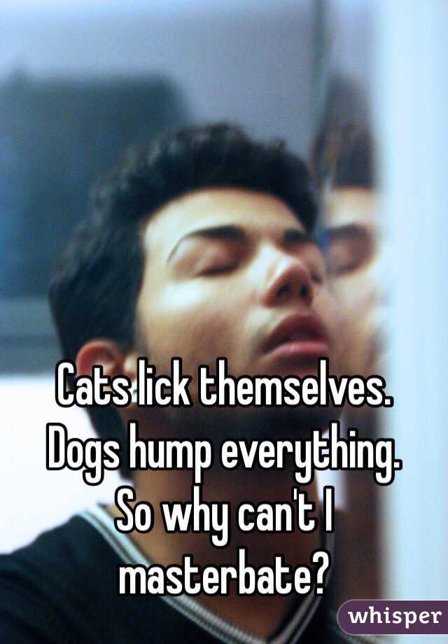 Cats lick themselves. 
Dogs hump everything. 
So why can't I masterbate?