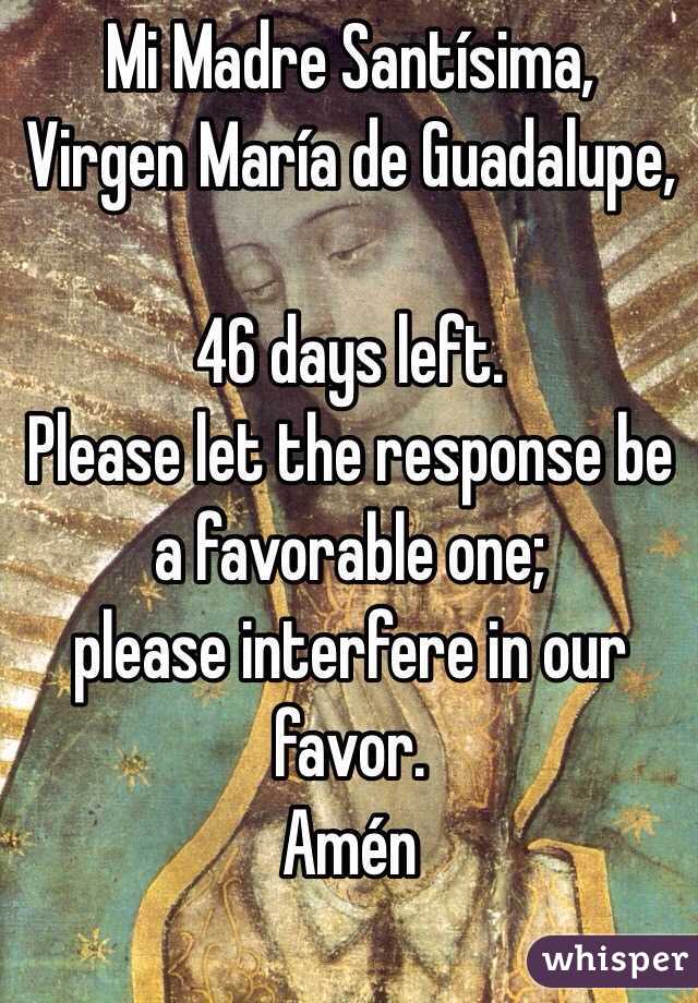 Mi Madre Santísima,
Virgen María de Guadalupe,

46 days left.
Please let the response be a favorable one; 
please interfere in our favor.
Amén 