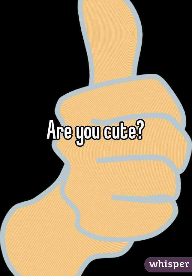 Are you cute?
