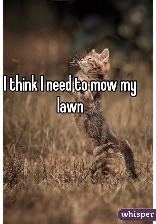 I think I need to mow my lawn 