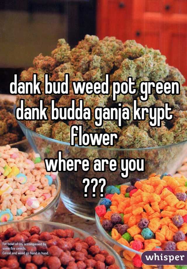 dank bud weed pot green dank budda ganja krypt flower 
where are you
???