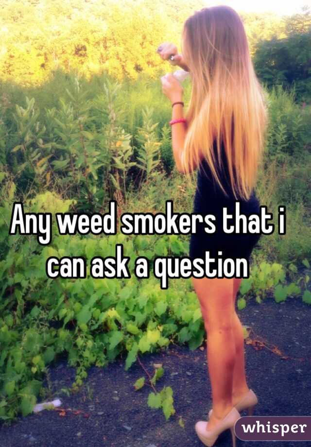Any weed smokers that i can ask a question 