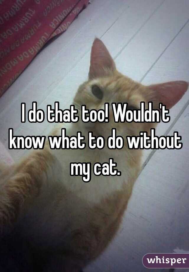 I do that too! Wouldn't know what to do without my cat. 