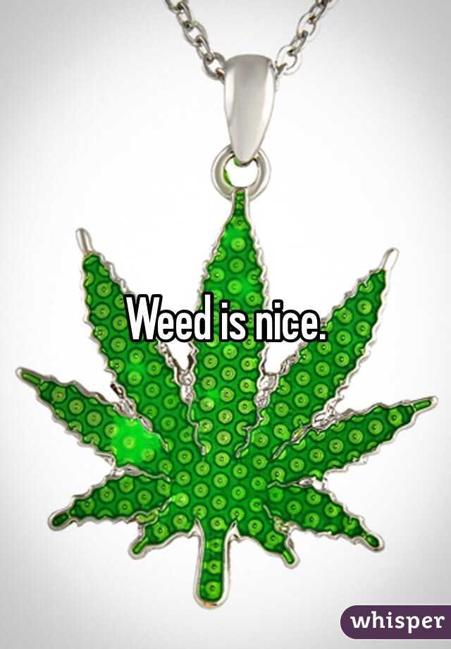 Weed is nice. 