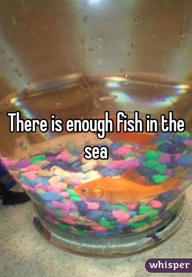 There is enough fish in the sea