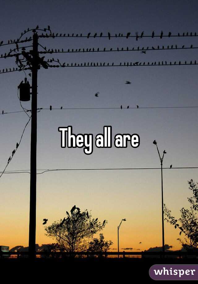 They all are