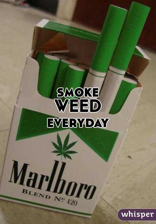 smoke
WEED
everyday