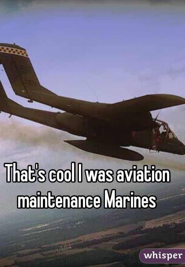 That's cool I was aviation maintenance Marines