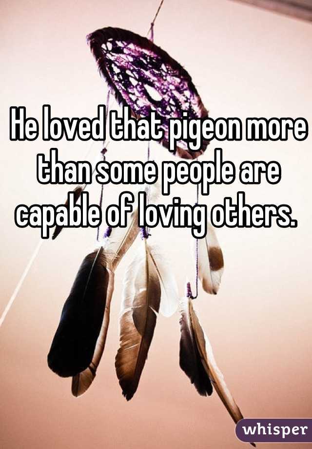 He loved that pigeon more than some people are capable of loving others. 