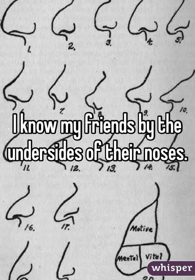 I know my friends by the undersides of their noses. 
