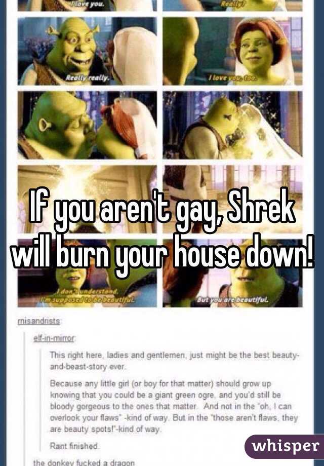 If you aren't gay, Shrek will burn your house down!