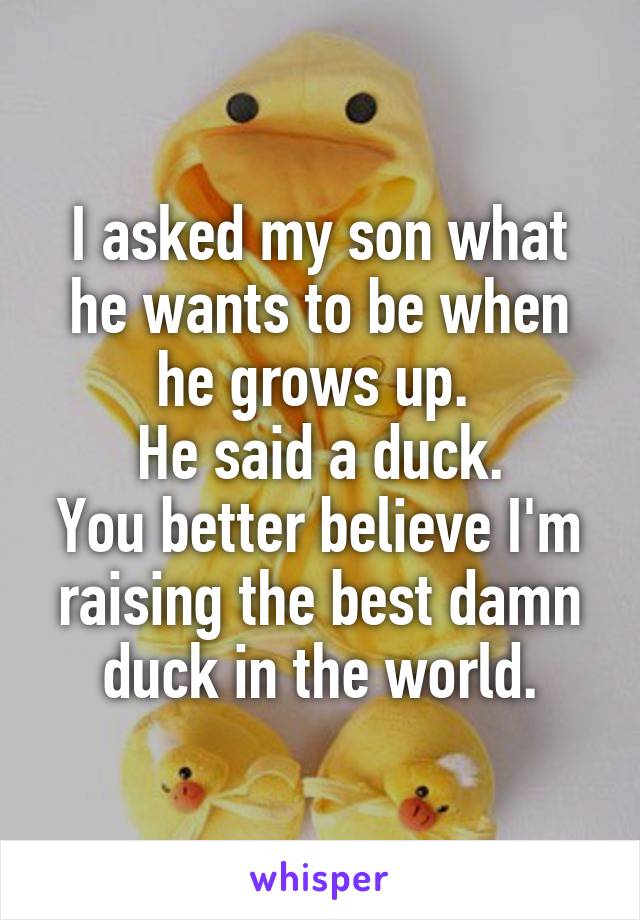 I asked my son what he wants to be when he grows up. 
He said a duck.
You better believe I'm raising the best damn duck in the world.