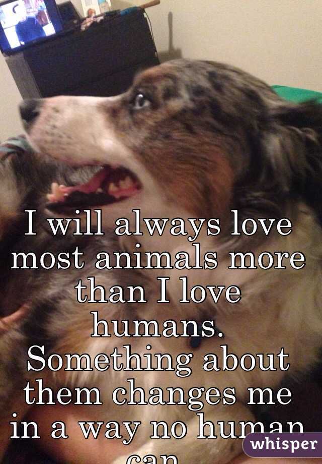 I will always love most animals more than I love humans. Something about  them changes me