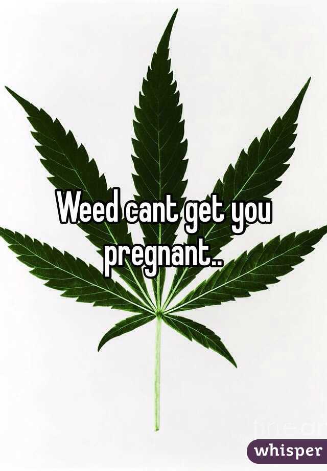 Weed cant get you pregnant..