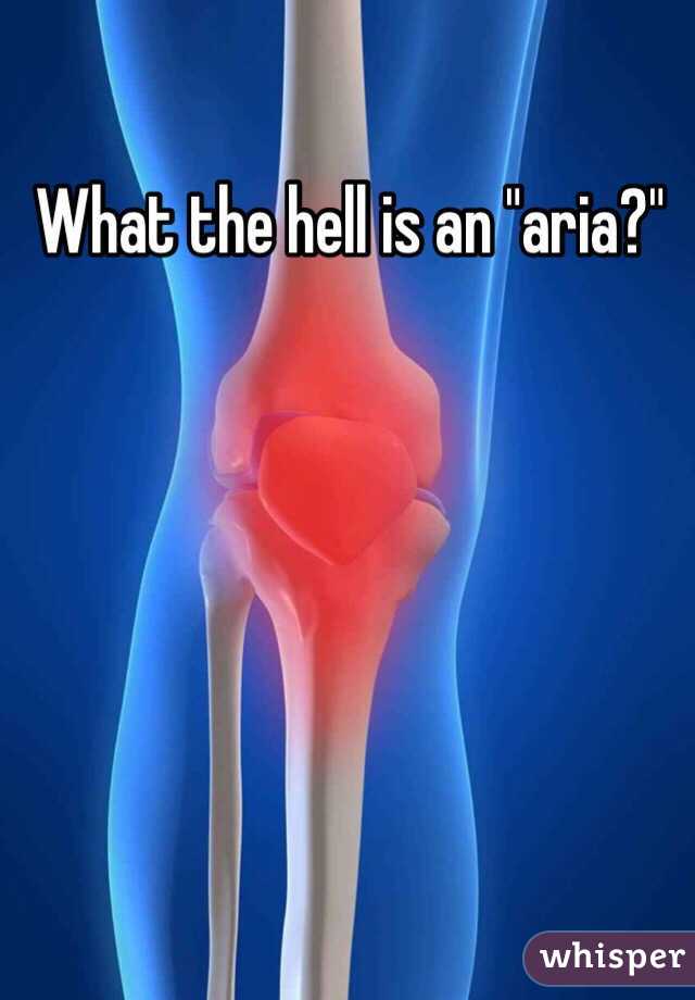 What the hell is an "aria?"