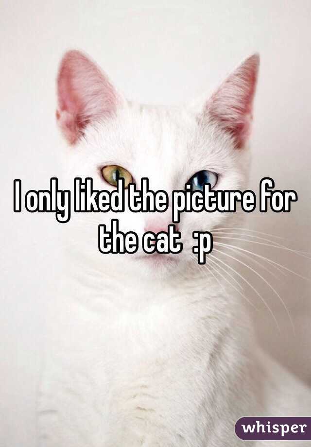 I only liked the picture for the cat  :p