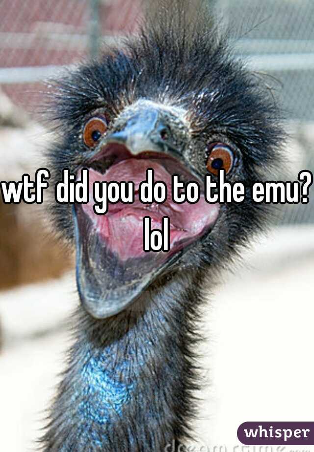 wtf did you do to the emu? lol 