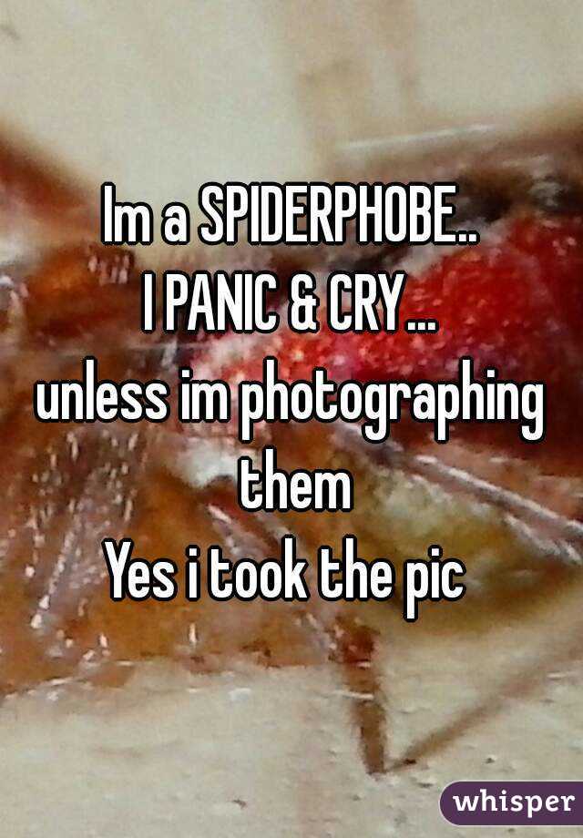 Im a SPIDERPHOBE..
I PANIC & CRY...
unless im photographing them
Yes i took the pic 