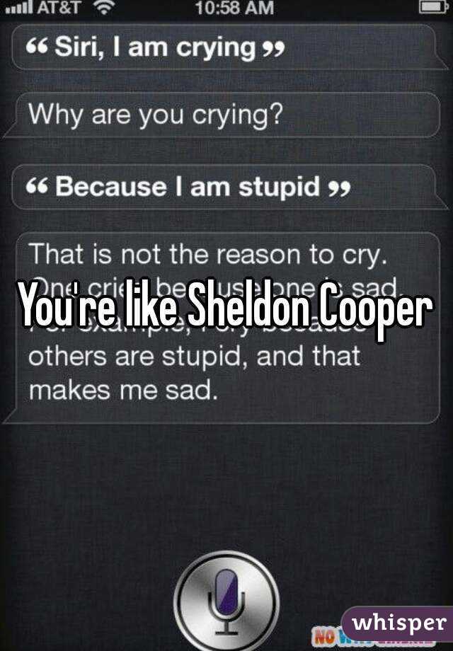 You're like Sheldon Cooper