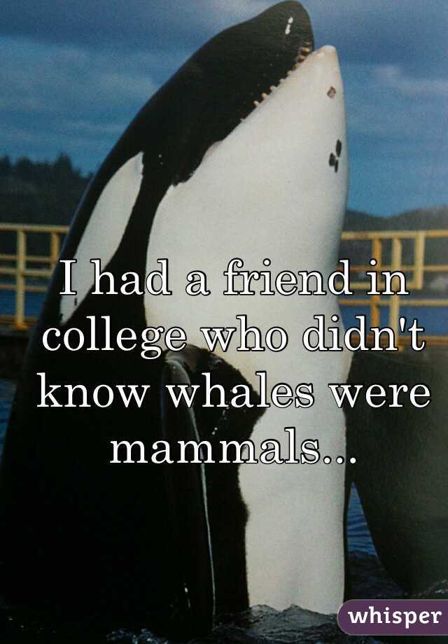 I had a friend in college who didn't know whales were mammals...