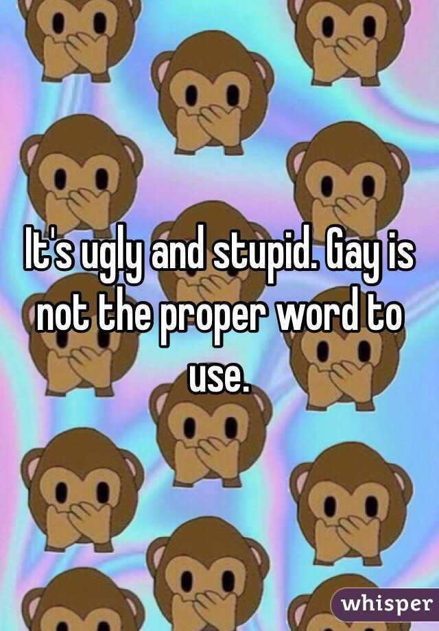 It's ugly and stupid. Gay is not the proper word to use. 