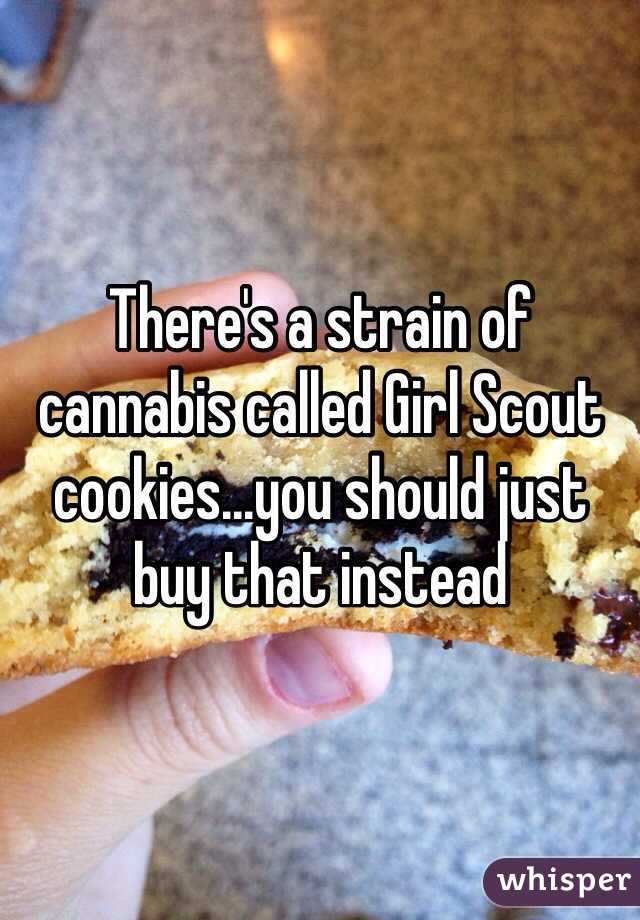 There's a strain of cannabis called Girl Scout cookies...you should just buy that instead 