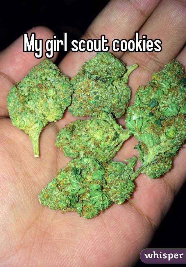 My girl scout cookies