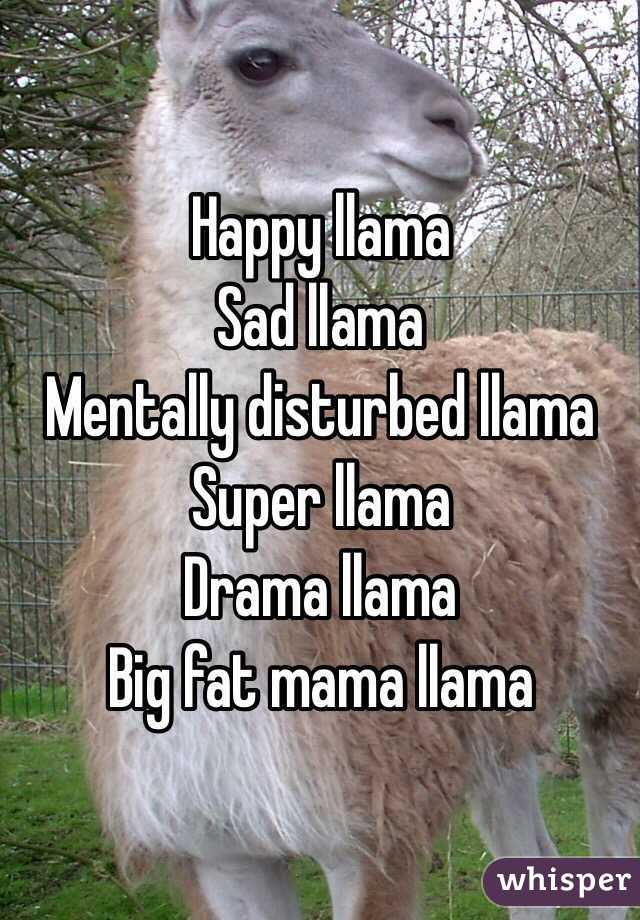 Happy llama
Sad llama
Mentally disturbed llama
Super llama
Drama llama
Big fat mama llama
