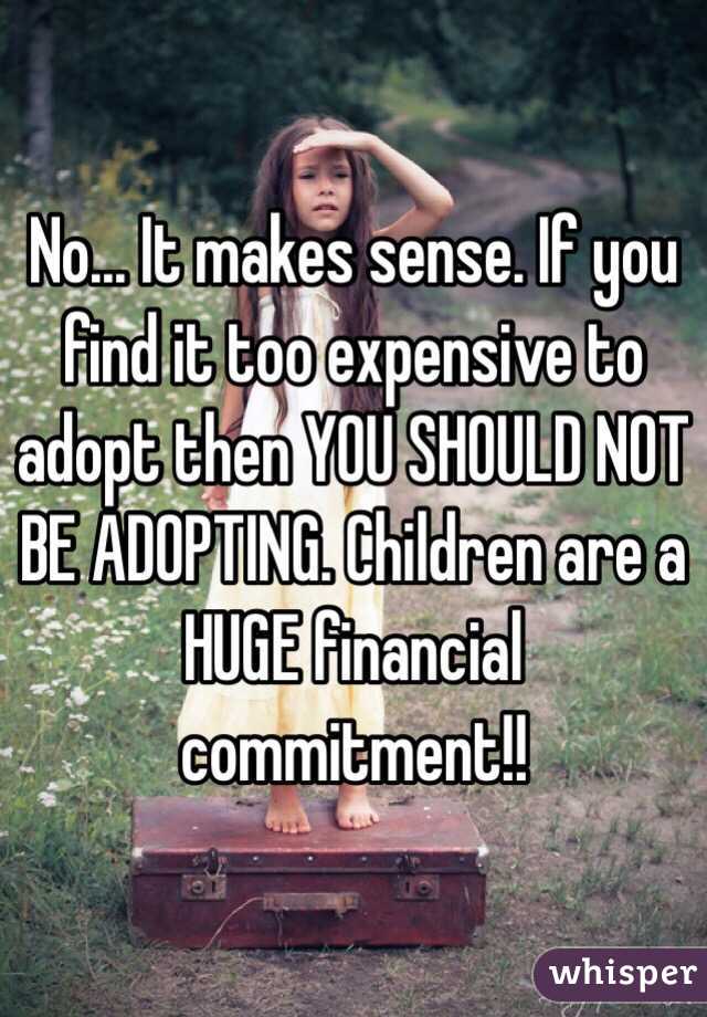 No... It makes sense. If you find it too expensive to adopt then YOU SHOULD NOT BE ADOPTING. Children are a HUGE financial commitment!!