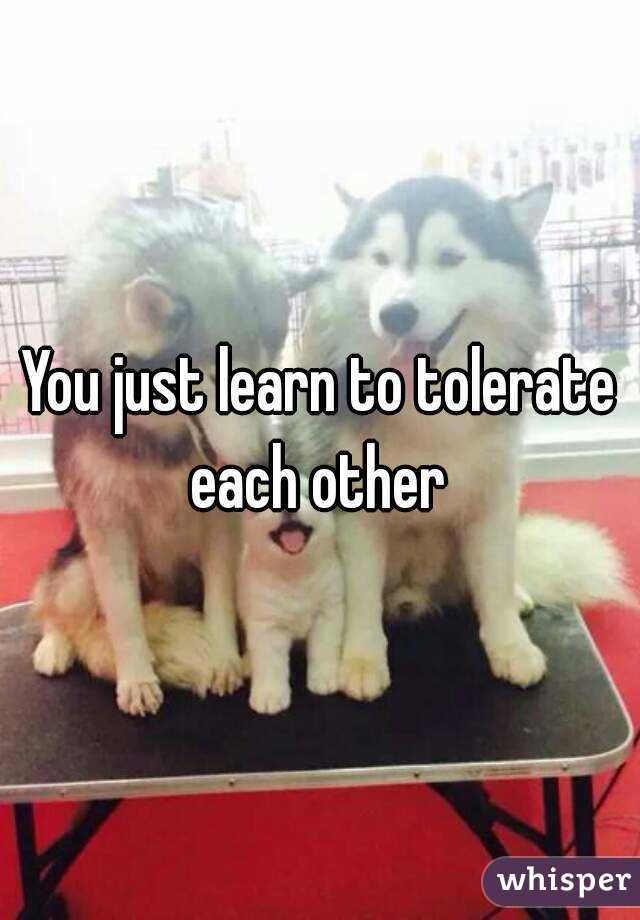 You just learn to tolerate each other 