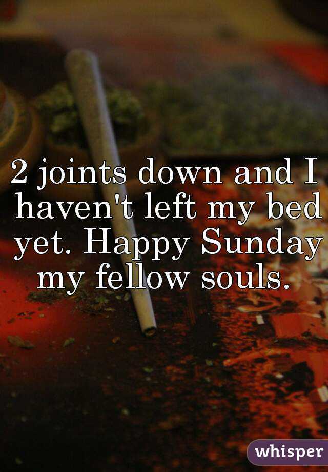 2 joints down and I haven't left my bed yet. Happy Sunday my fellow souls. 
