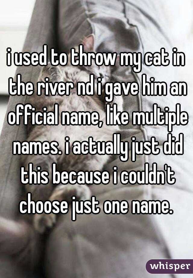 i used to throw my cat in the river nd i gave him an official name, like multiple names. i actually just did this because i couldn't choose just one name. 